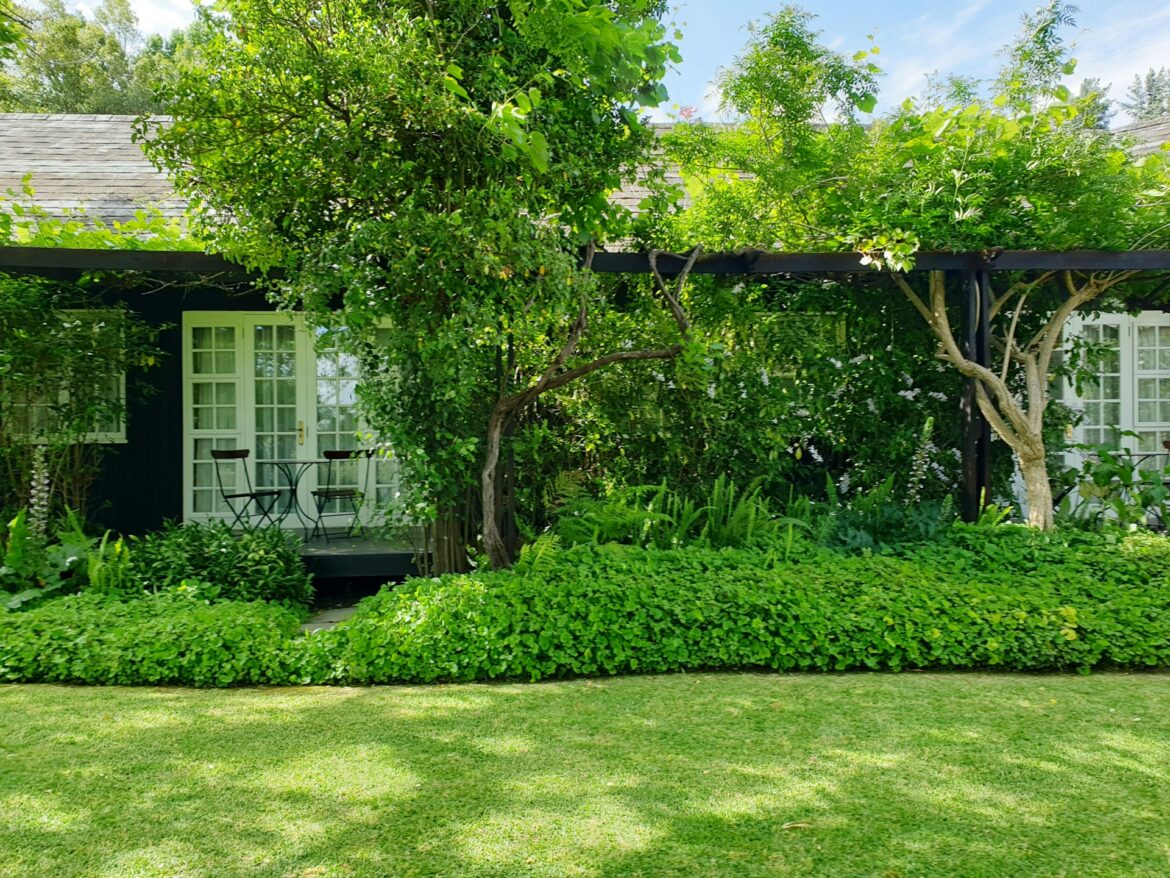 groene tuin gras gazon