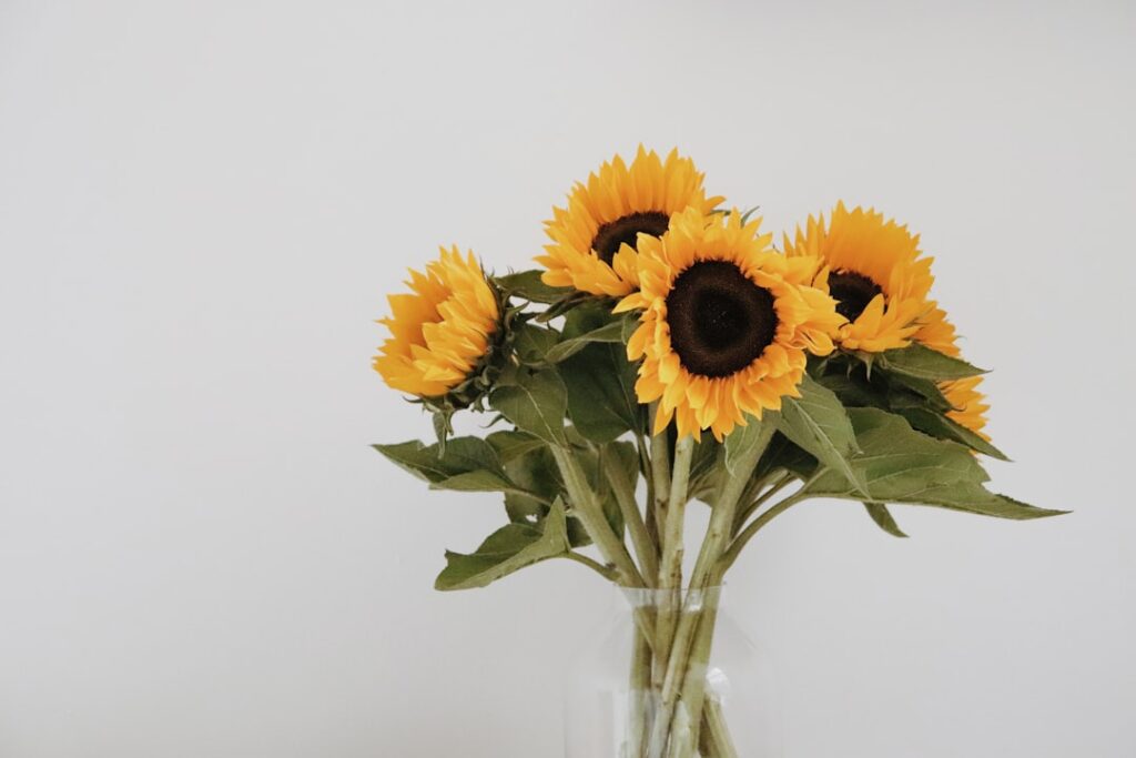 Sunflowers in a vase
