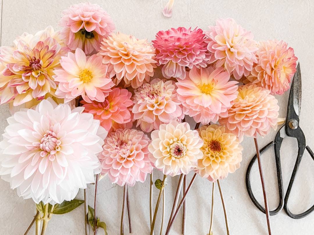 Flowers have a never-ending beauty 