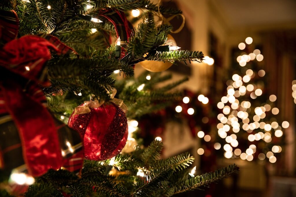 Kerstverlichting in een boom