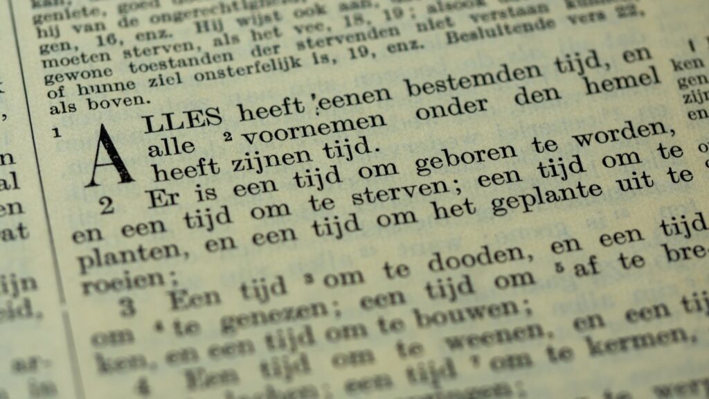 Meeldauw, roest of bladvlekken herkennen op je planten