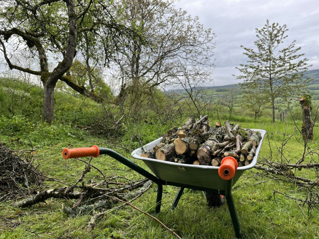 Kruiwagen vol snoeihout in een tuin